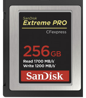 کارت حافظهSanDisk 256GB Extreme PRO CFexpress Card Type B - SDCFE-256G-GN4IN